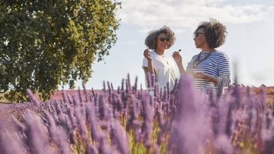 AAT Kings Unveils Travel Advisor Incentive Program With Mystery Destination Tour