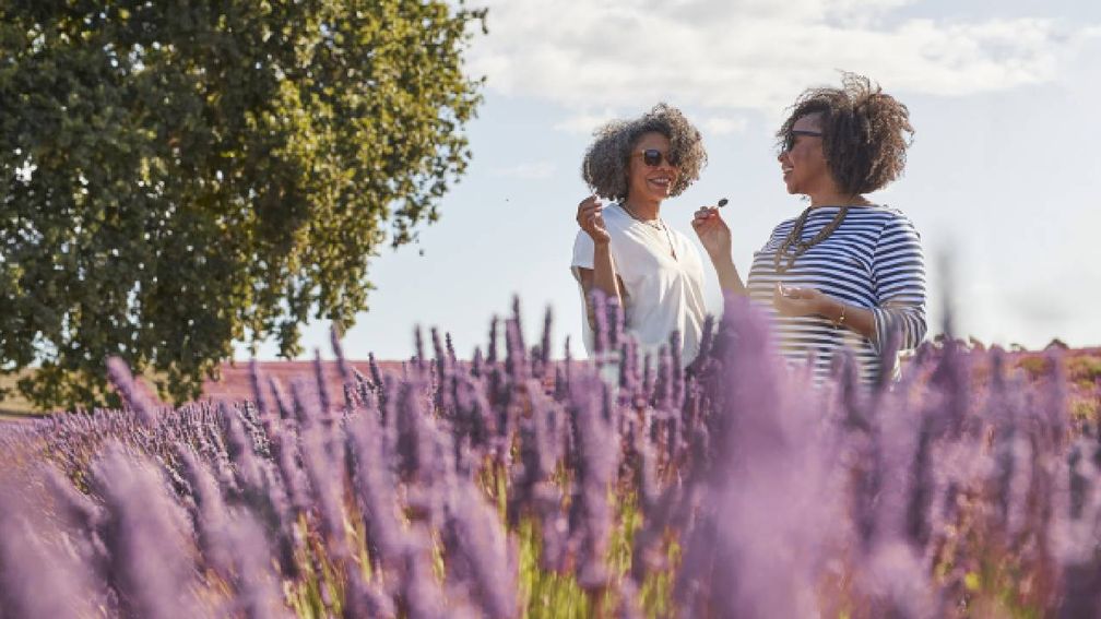 AAT Kings Unveils Travel Advisor Incentive Program With Mystery Destination Tour