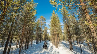 AK_NewTrips_Winter