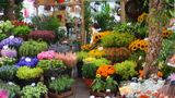 <b>Amsterdam Scenery</b>