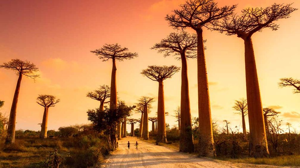 atimadagascar