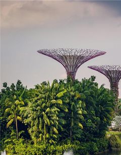 Conrad Singapore Marina Bay