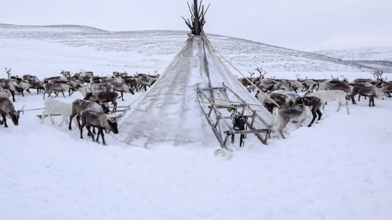 For example, Intrepid Travel’s new trip to Arctic Russia provides new jobs for the local community. // © 2017 Intrepid Travel
