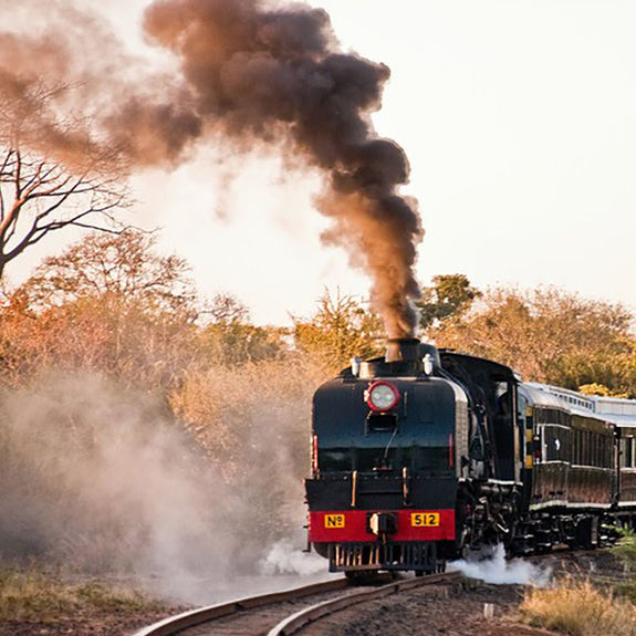 Get to Know Bushtracks Africa — and Its Exclusive Opportunities for Travelers