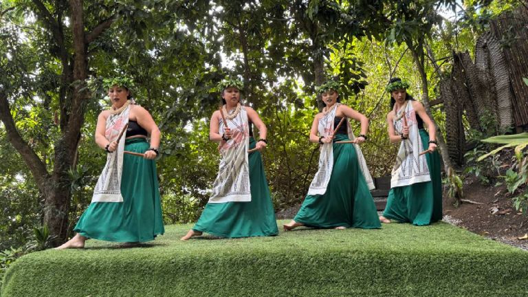 hawaiidance