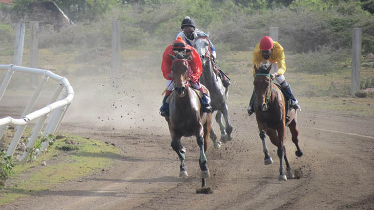 Horse racing at Indian Castle racetrack will return this winter. // © 2016 Nevis Horse Racing