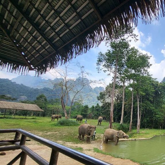 Inside Travel Launches Webinars to Build Agent Confidence in Selling Asian Destinations
