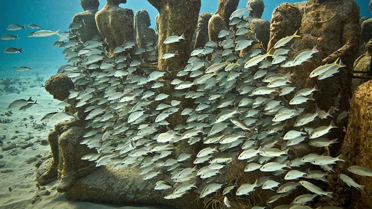 Museo Subacuatico de Arte has more than 500 sea sculptures resting on the ocean floor. // © 2016 Mexico Tourism Board