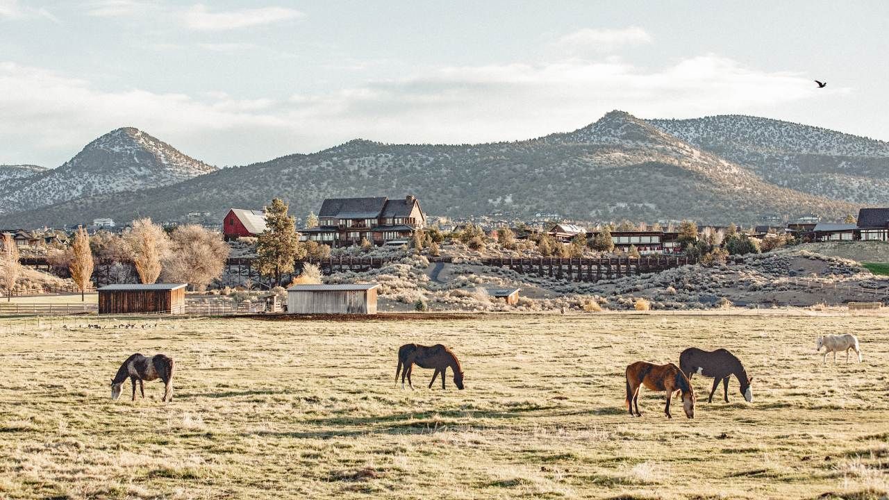 Brasada Ranch