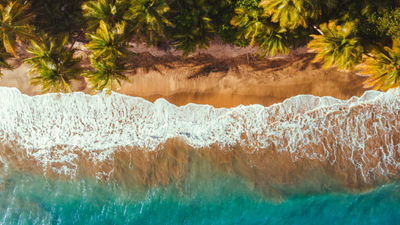 Summer Travel Trends to Know for 2025