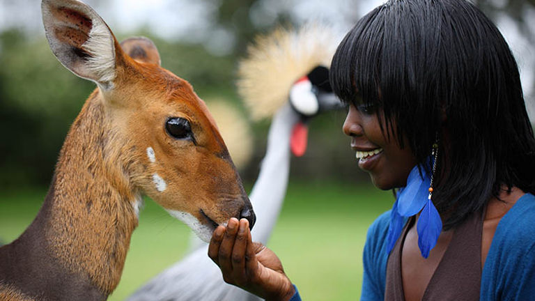 The on-site animal orphanage allows guests to get close to a variety of wildlife.  // © 2016 Fairmont Mount Kenya Safari Club