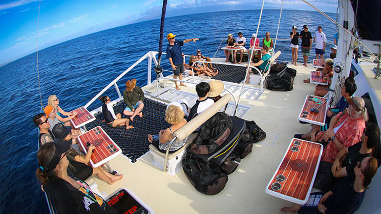 Though the tour can accommodate up to 49 passengers, service is personalized and excellent. // © 2017 Trilogy Excursions