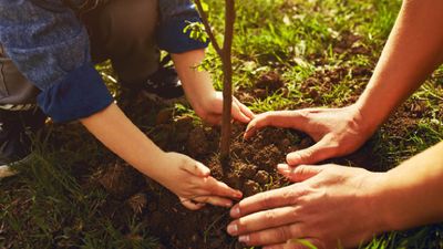 Tourism Cares and UnTours Foundation Create Fund for Community-Led Travel Businesses