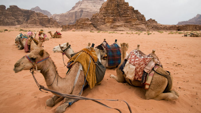 Travel to Jordan With Meaning