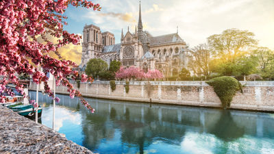 What’s New in France