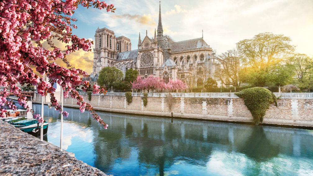 What’s New in France
