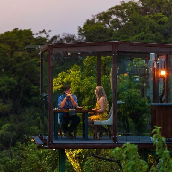  San Lucas Treetop Dining Experience
