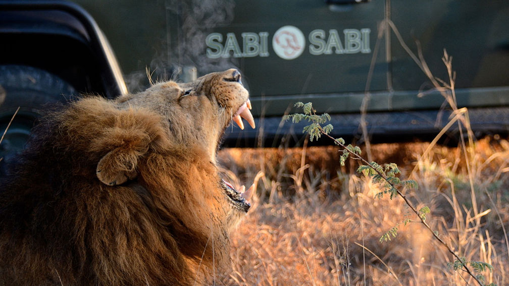 Why Now Is the Time to Book Travel to South Africa